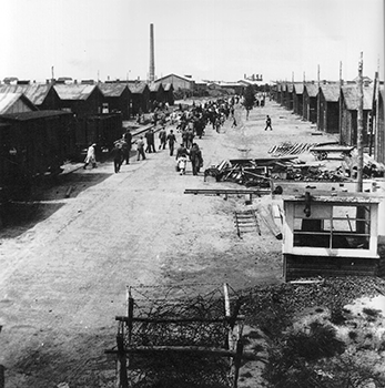 Friedhof der Stadt Mechernich 1